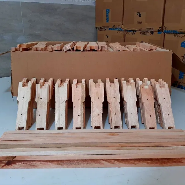 Kit Com 50 unidades de Quadros de Melgueira Desmontados de Eucalipto