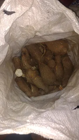 Vendo sacos de macaxeira tamanhos variados 
