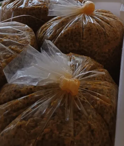 Maracujá com semente, polpa congelada