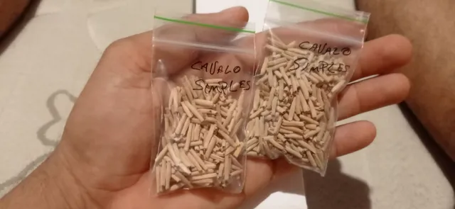 "MIL"1.000 SEMENTES DE ROSA DO DESERTO