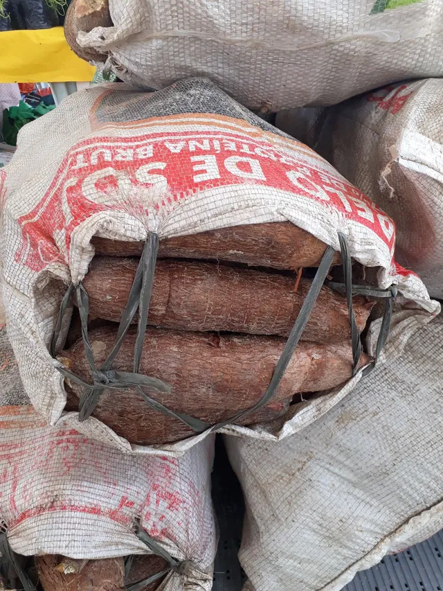 SACA DE MACAXEIRA PORRUDA 