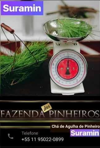 Folhas/Chá de Agulha de Pinheiro 