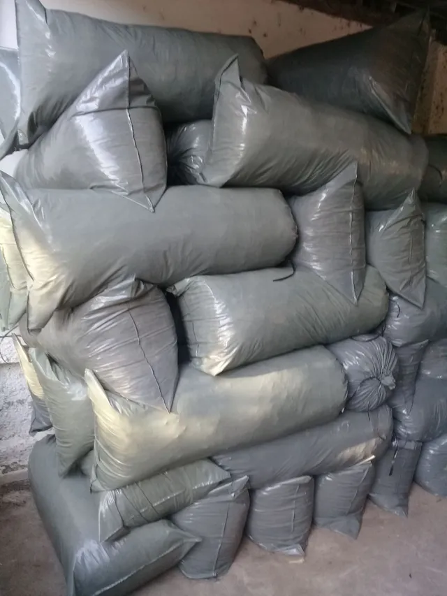 Silagem de capim BRS AÇU sacos com 25 kilos Rica em melaço muito boa de verdade 