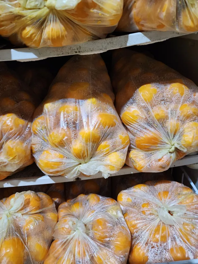ÚLTIMAS UNIDADES! Pequi descascado, lavados e congelados. 8 dúzias por cada embalagem!