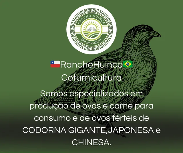 Rancho Huinca - Coturnicultura