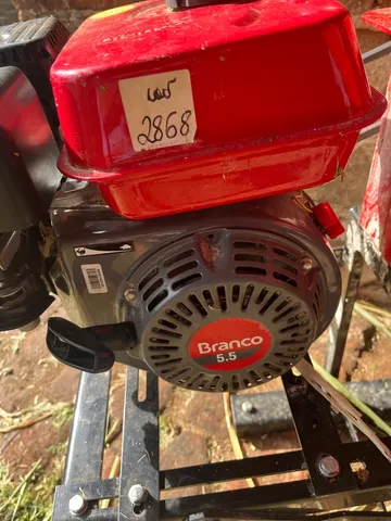 Motor branco 5.5 cavalos 
