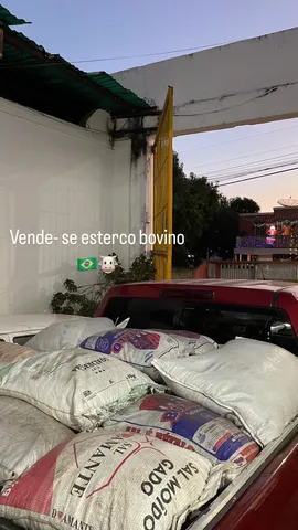 Vende - se esterco bovino 