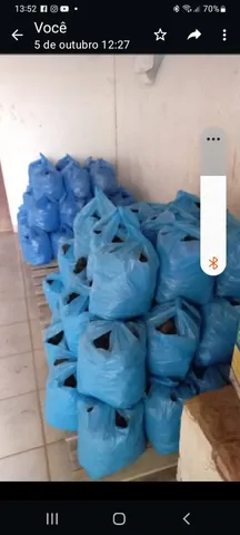 Vendo carvão barato