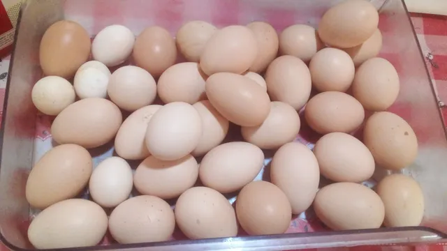 Ovos