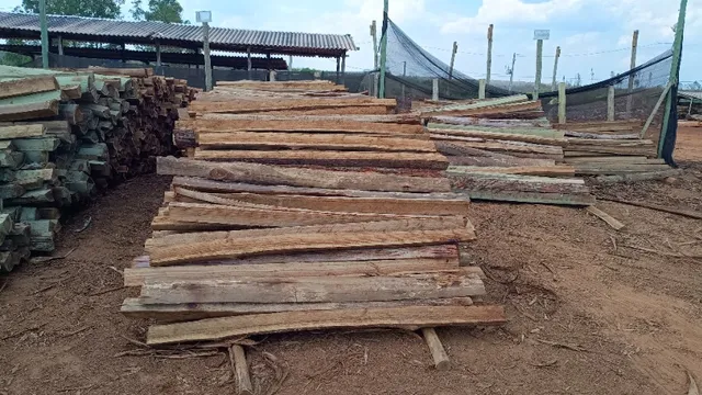 Lascas para cerca madeira tratada