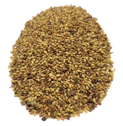 Alfafa Crioula 500gr De Sementes Forrageira, Silo E Feno