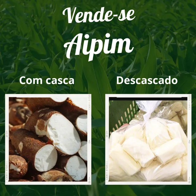 Vende-se aipim *LEIA A DESCRIÇÃO*