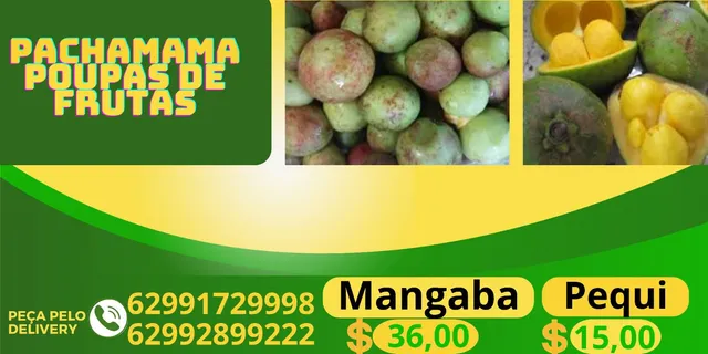 Polpas frutas do cerrado