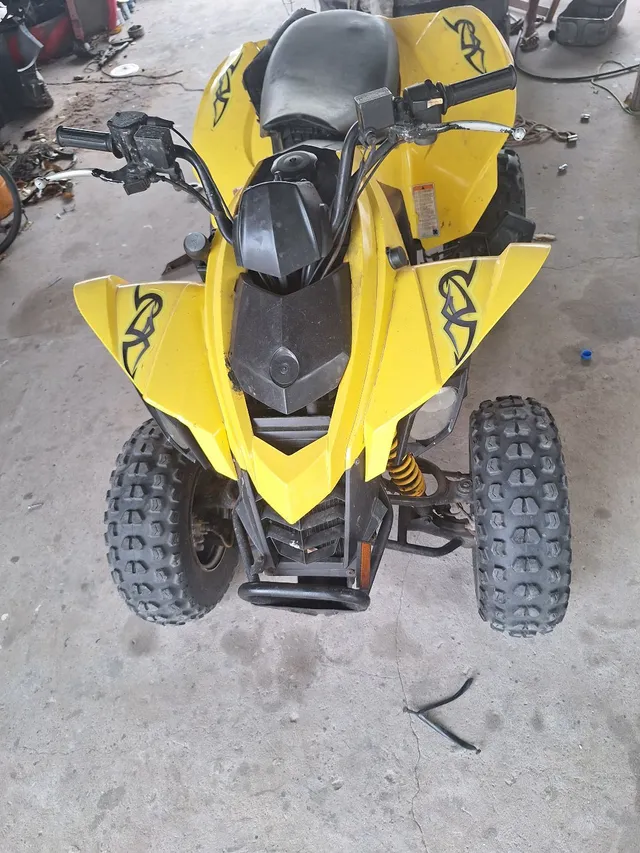 Quadriciclo Can-an, Ds 250 cc