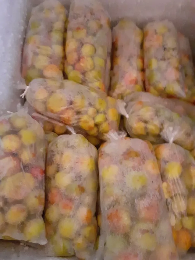 Mangabas congeladas 
