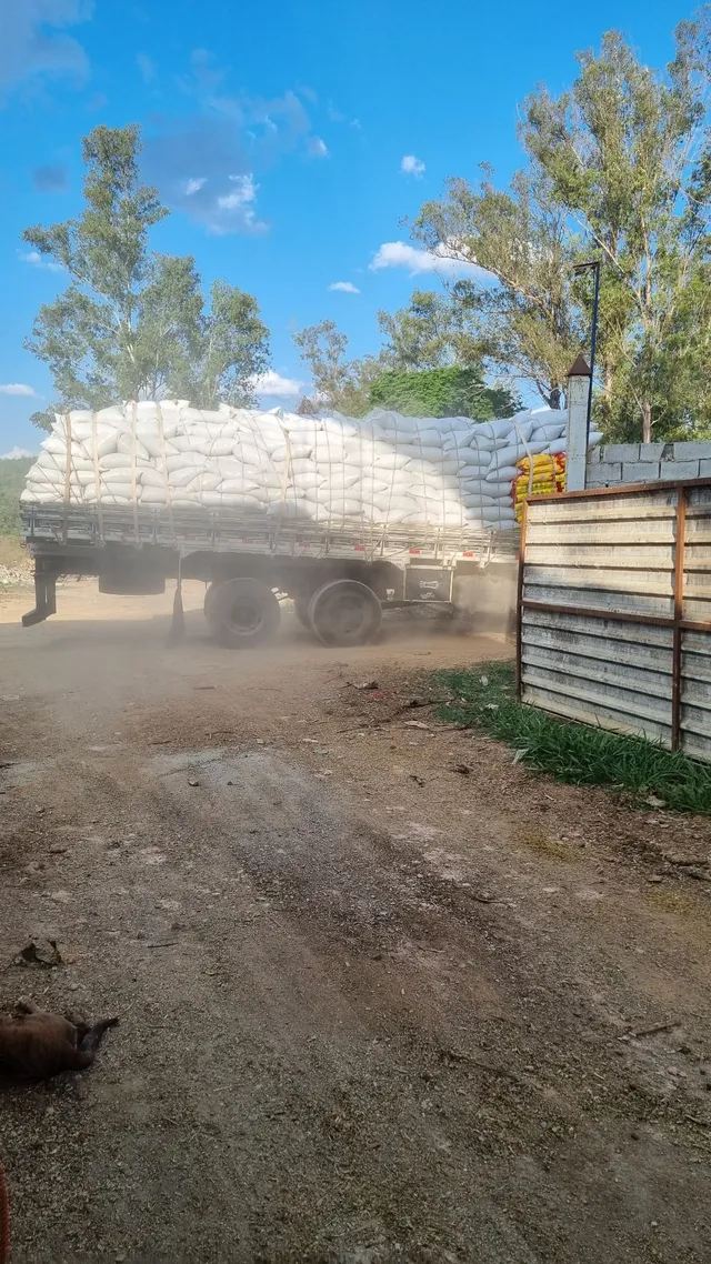 Silagem de milho Ensacada atacado