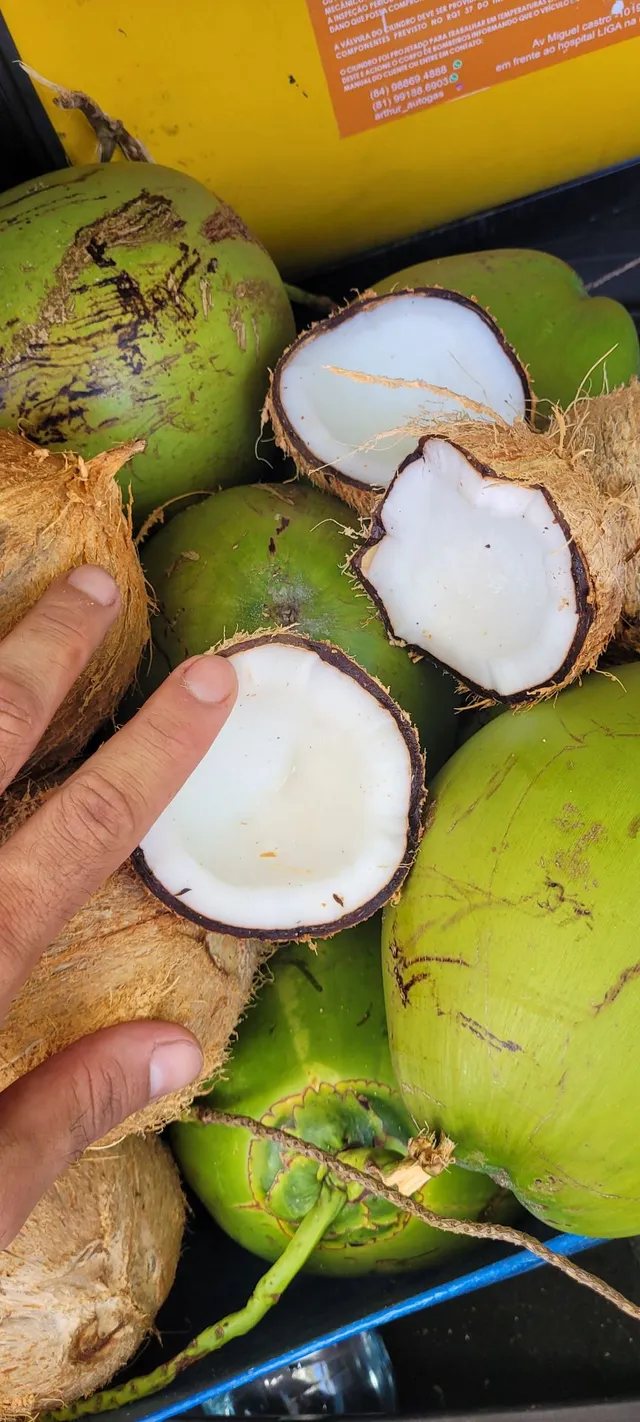 Coco seco e verde a pronta entrega 
