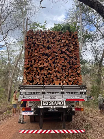 Estacas de sabiá