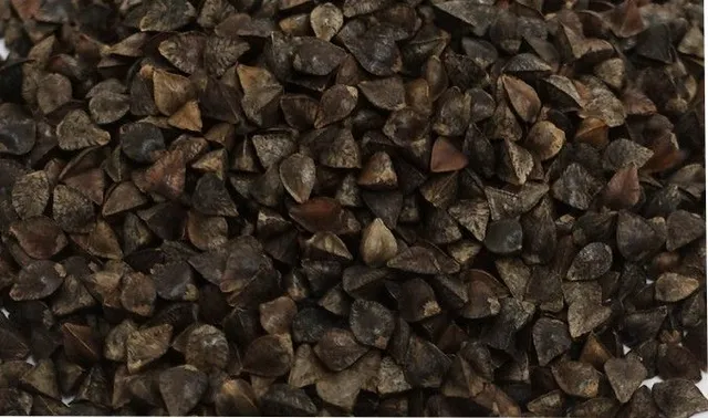 Trigo Sarraceno / Mourisco com casca kg