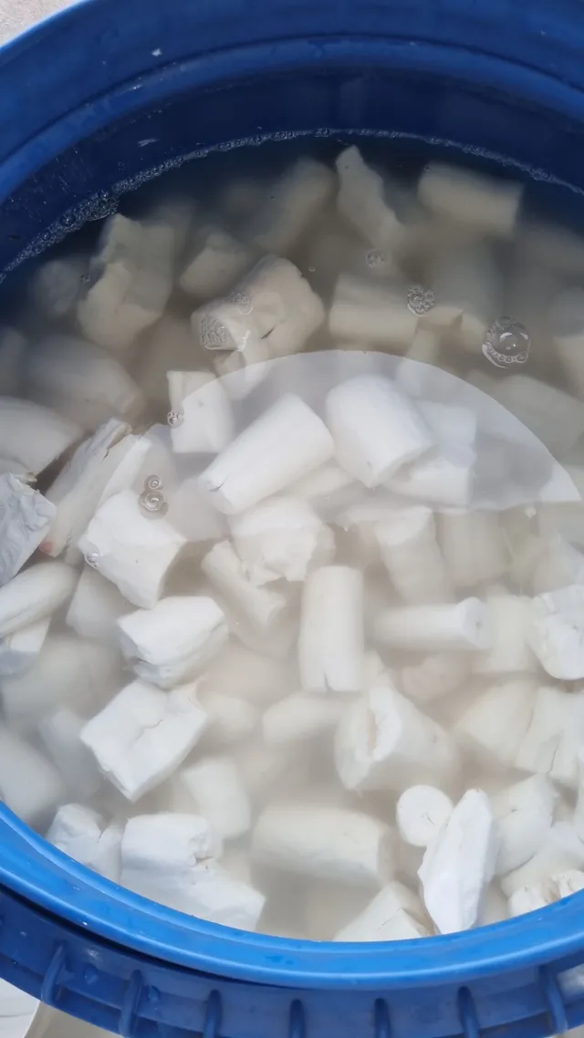 Macaxeira a vacuo 1kg