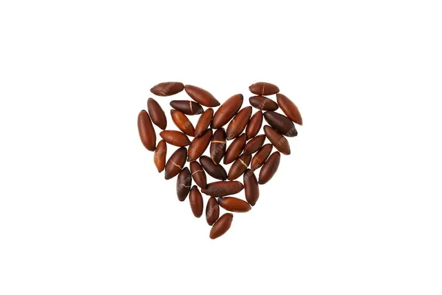 Aumenta muito o T e sua energia. Castanha de Baru Premium 2 Kg