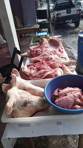 Carne de porco 