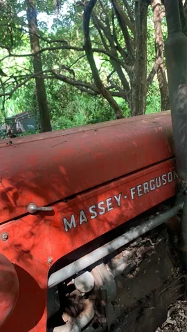 Trator Massey ferguson 65x