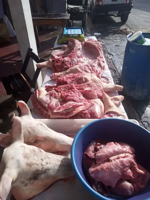 Temos carne de porco fresca 