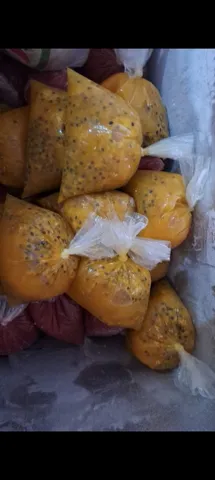 Polpas de frutas 