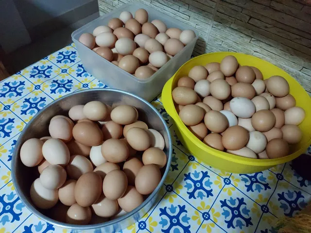Ovos Caipira