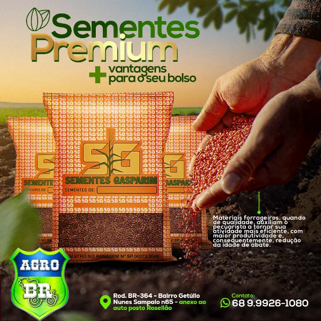 Sementes Gasparim para Pastagens