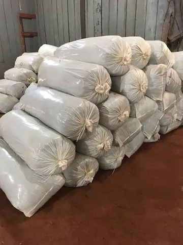 Silagem de milho - Marialva