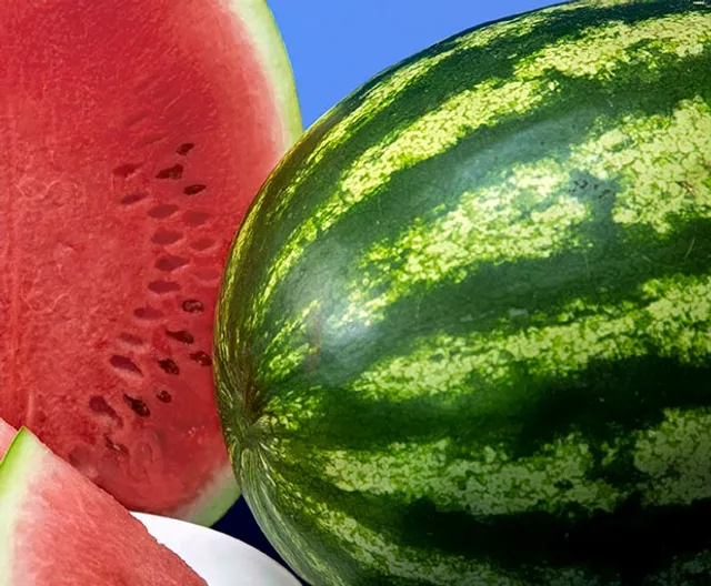 Sementes, semente de frutas, semente de verduras