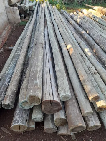 Madeiras tratadas direto do produtor 