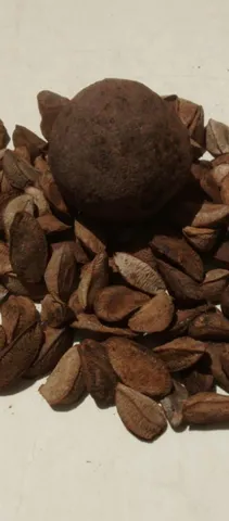 CASTANHAS DO PARÁ 1 KILO.