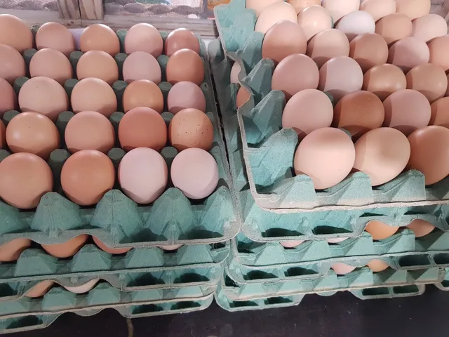 Ovos caipira 100% orgânicos 