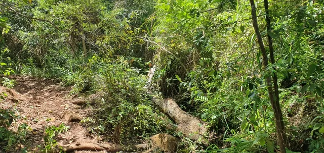 Propriedade rural em Senhor do Bonfim BA