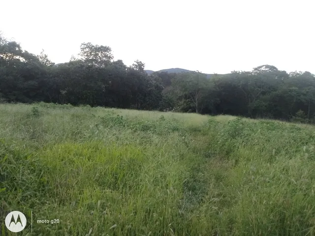 Fazenda 
