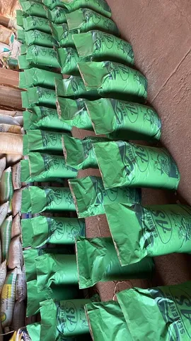 Sementes para pasto