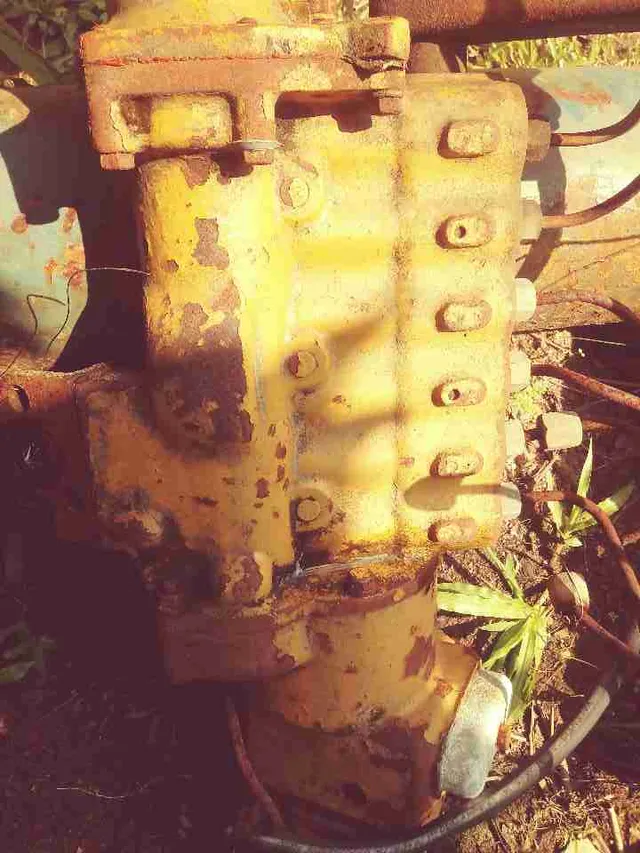 cacaça bomba bosh cat