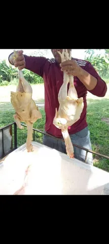 Caipirao