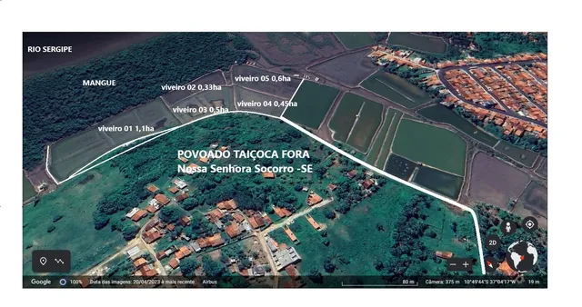 ÁREA DE VIVEIROS CAMARÃO 