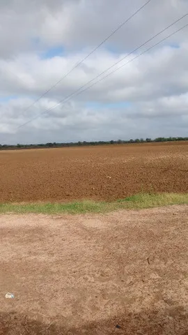 Parceria em Agro Negócio retorno garantido em 120 dias