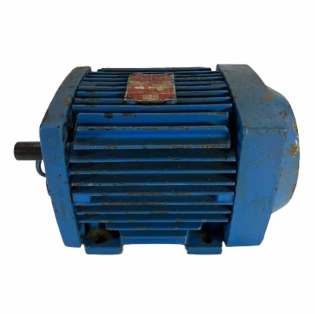 Motor Elétrico WEG 