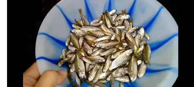 Piada salgada