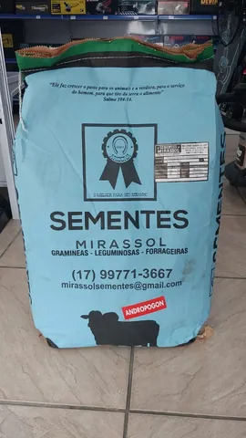 Semente de Andropogon 6Kg - Safra nova