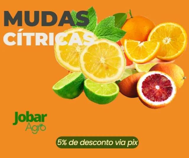 Promoção de Mudas Cítricas- Entregamos.