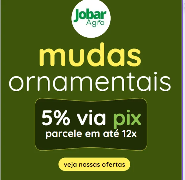 Opções de Mudas Ornamentais- Entregamos