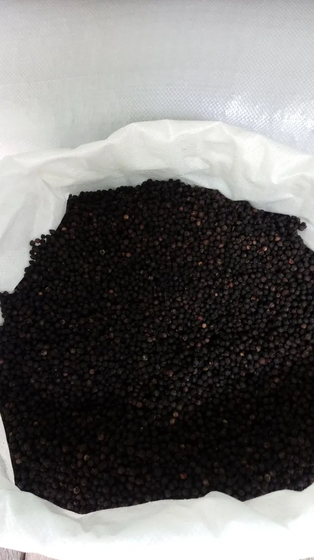 Pimenta do Reino 20,00 kg