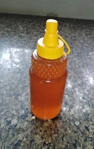 Mel florada silvestre 500 ml